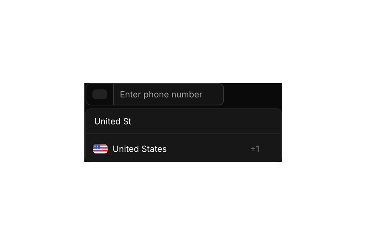 phone-input
